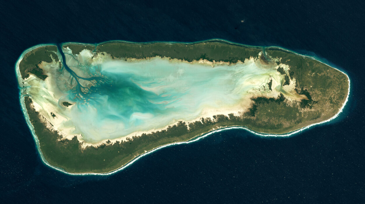 Aldabra Atoll, Seychelles